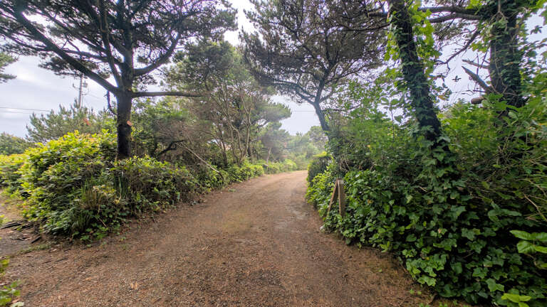 Driveway to back