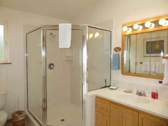 ensuite with step in shower