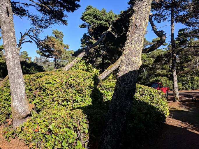 Looking towards parking from deck