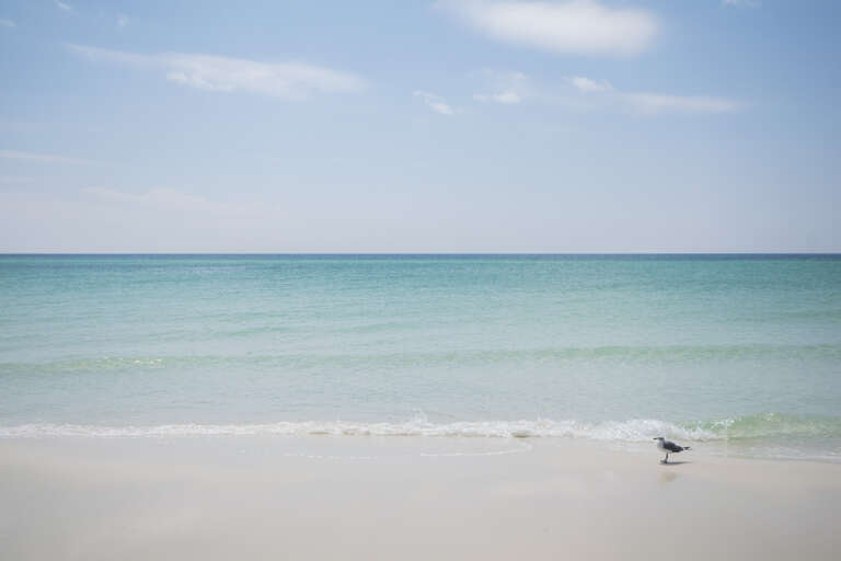 Santa Rosa Beach Townhouse Rental Santa Rosa Beach Townhouse Rental