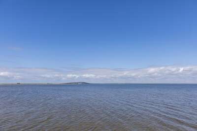 Bayside Bliss