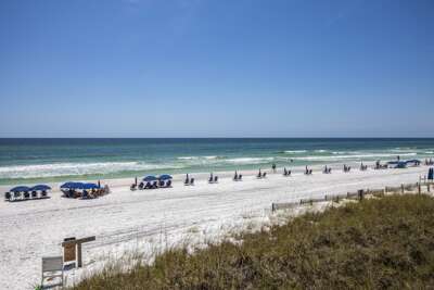 The Tide Life Too The Tide Life Too