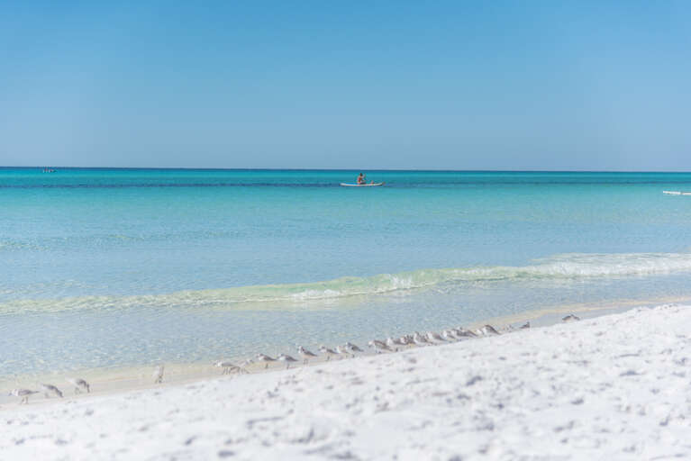 Santa Rosa Beach Rental Rental