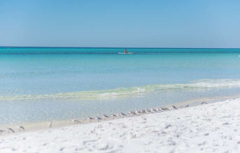 Santa Rosa Beach Condo Rental Santa Rosa Beach Condo Rental
