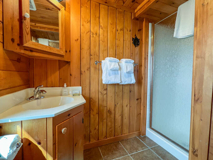 This bathroom has a walk-in shower.