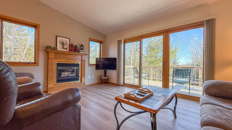 Fireplace and TV in the living room.