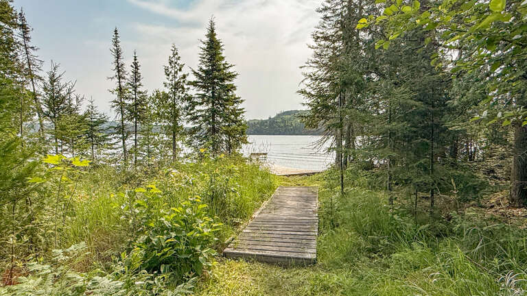 A wooden boardwalk winds through lush greenery, leading to a serene lakeshore framed by tall evergreens and distant hills.