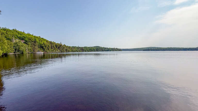 A peaceful lakeside setting surrounded by lush forest and clear skies—perfect for serene mornings and outdoor exploration in the surrounding natural area.