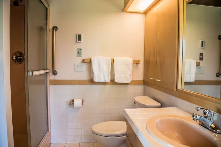 The master bathroom has a separate walk-in shower.