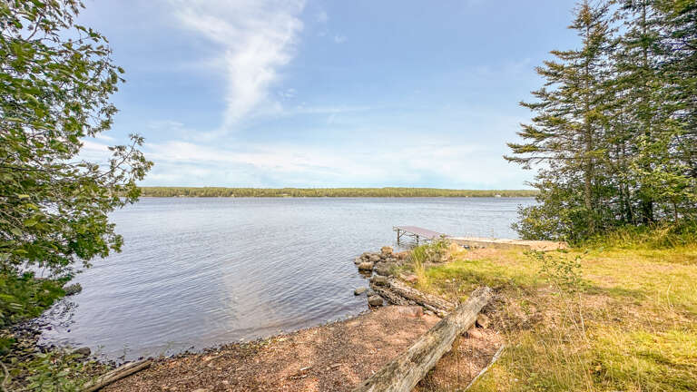 Shoreline area of Devil Track Lake.