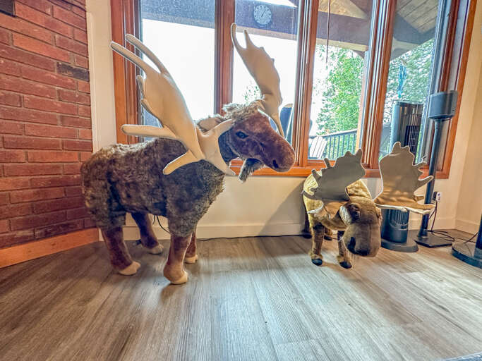 Unique artwork and carefully selected furnishings make this home warm and welcoming.