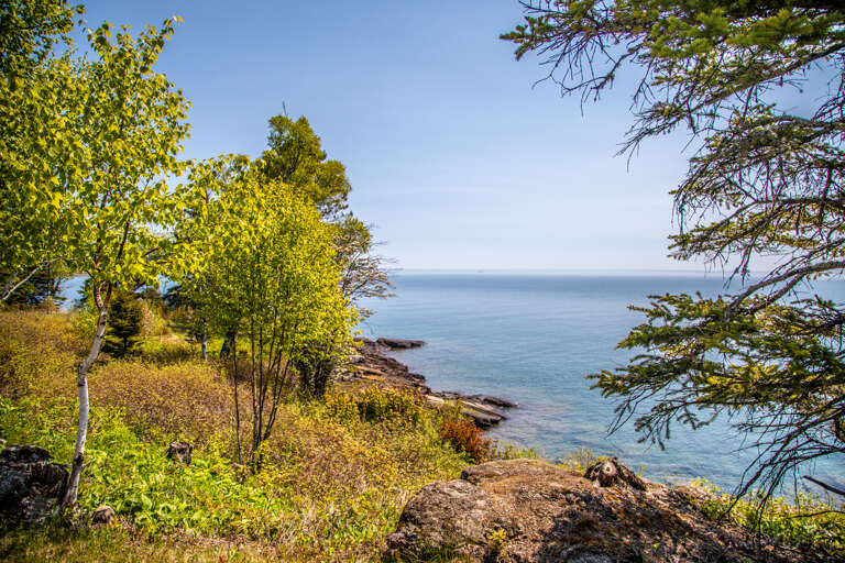 At Terrace Point 13B you have access to the shoreline via a set steep of stone steps