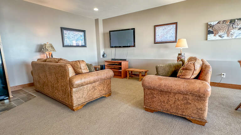 Living room in the lower level.