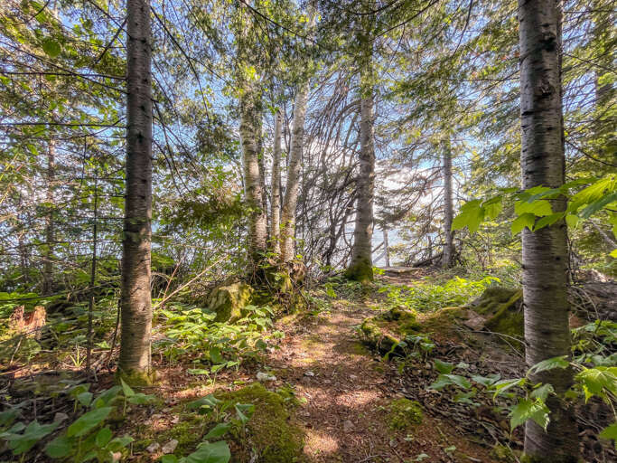 A short trail leads you to the private shoreline area.