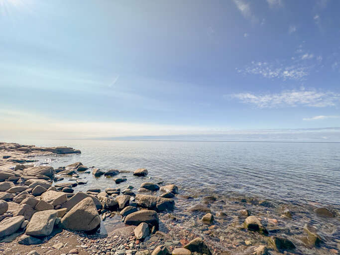 Explore the shoreline by the home.