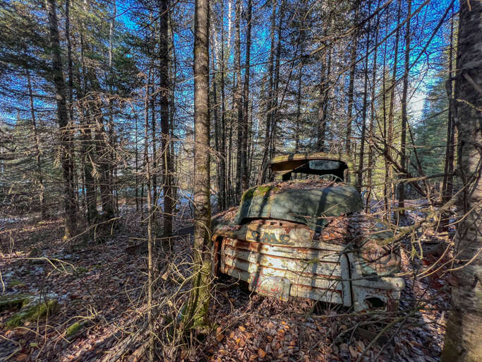 Take stroll and find some hidden treasures on the property
