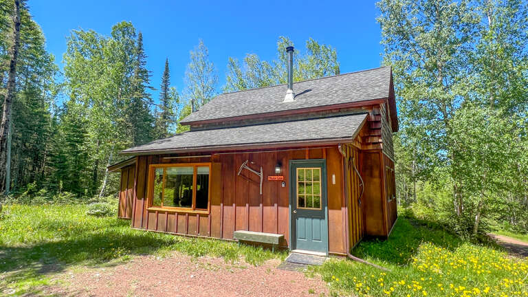 A charming cedar cabin nestled among towering pines and birch trees on a sunny day in a peaceful forest setting.