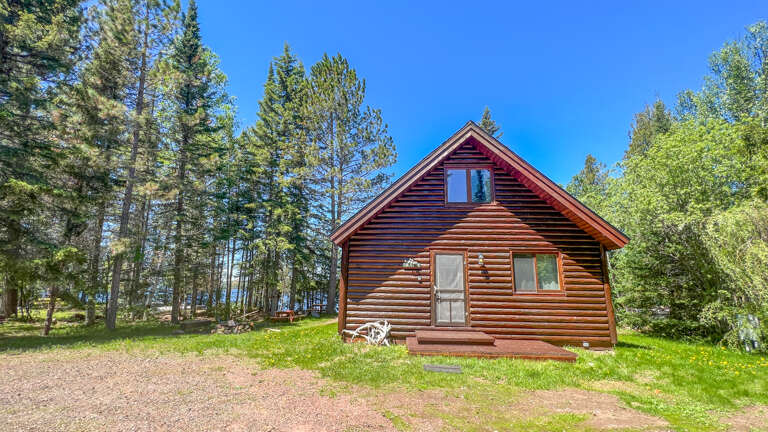 A charming log cabin nestled among towering pine trees on spacious grounds.
