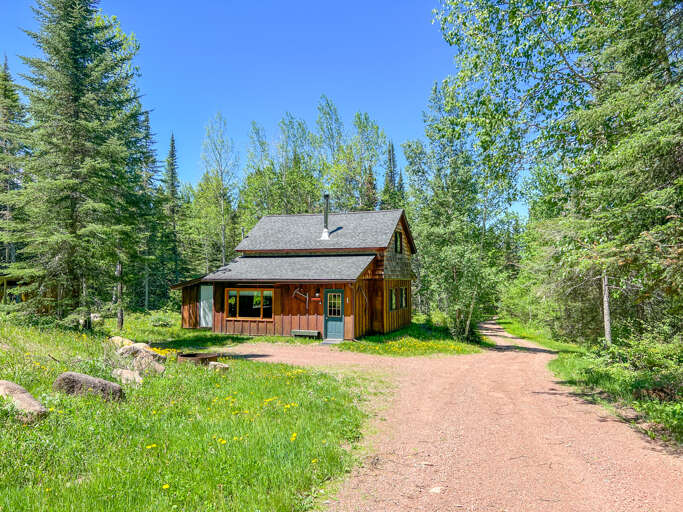 Rustic cabin nestled among towering pines and lush greenery, offering peaceful forest retreat with natural charm and tranquil woodland setting.