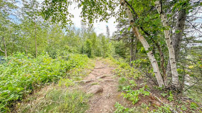 The trail circles the property and goes down to the Lakeshore area.