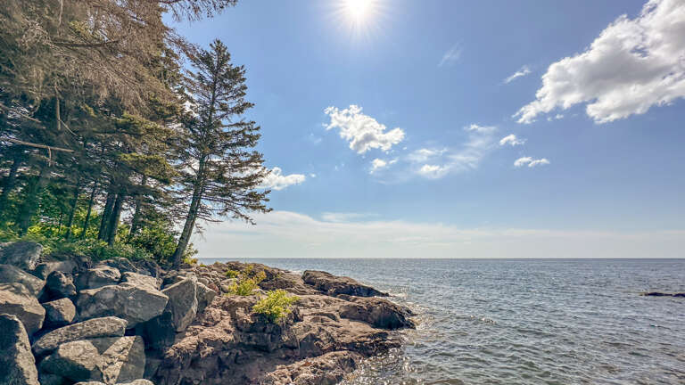 More views of the shoreline area.