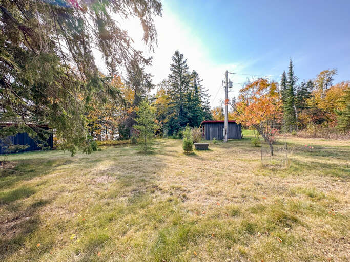 Front yard