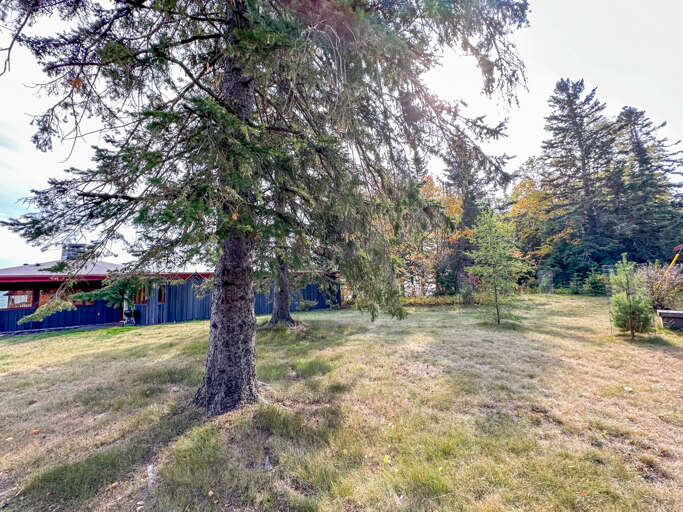 Spacious front yard
