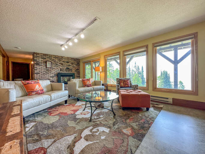 Lower Level Living Room