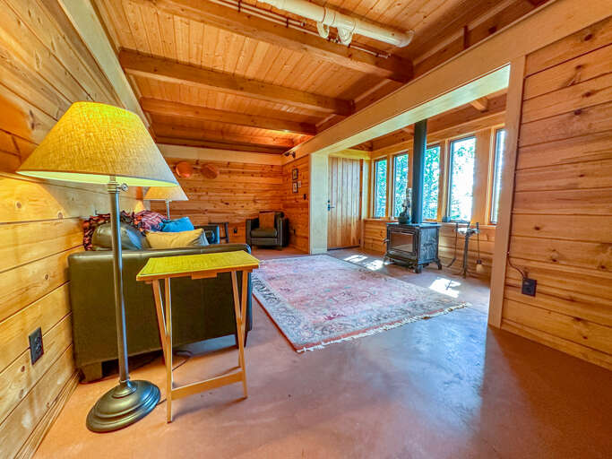 Lower level living room.