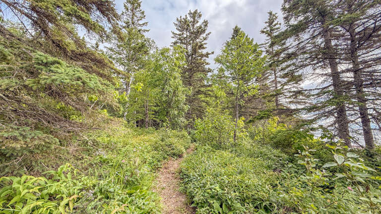 A scenic hiking trail winds through lush forest near the property, offering guests access to natural surroundings and outdoor adventure.