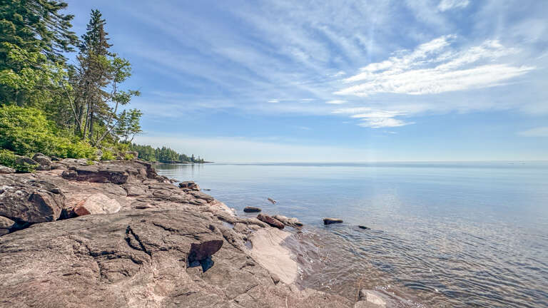 Shoreline area