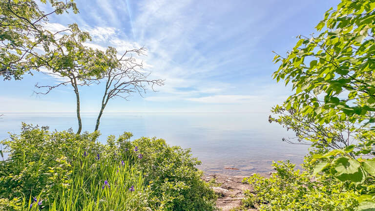 Walk down to the shoreline area.