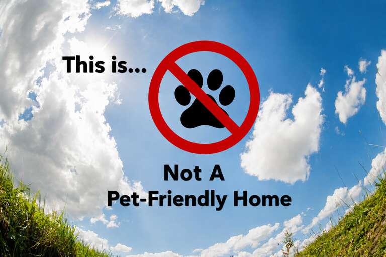 This property does not allow pets. The image indicates the no-pets policy against a backdrop of open sky and grassy landscape.
