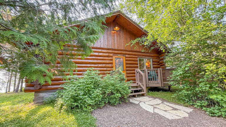 A charming log cabin nestled among lush greenery, offering a peaceful woodland retreat surrounded by towering trees and natural beauty.