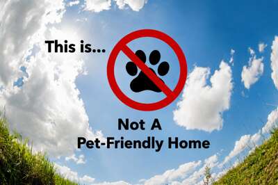 A clear no-pets policy sign displayed against a bright blue sky with surrounding greenery, indicating property restrictions.