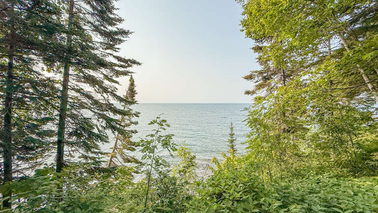 The property sits nestled among towering trees on a tranquil lake shore, offering a peaceful natural setting for your getaway.