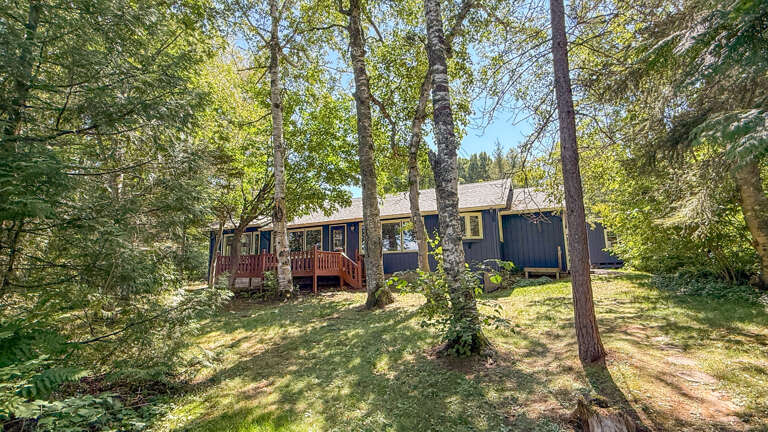 The property sits peacefully among towering birch and pine trees, creating a private wooded retreat for your getaway.