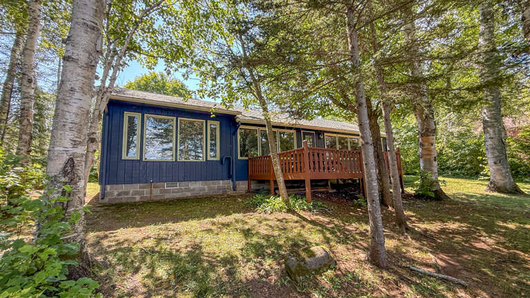 A charming blue cabin surrounded by birch and evergreen trees, offering a peaceful woodland retreat with a spacious deck and natural sunlight filtering through the forest canopy.