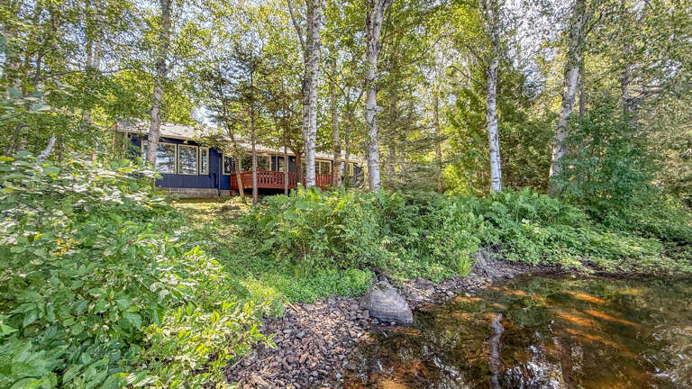 A serene forest retreat nestled among birch trees beside a gentle streamâthe property offers a peaceful escape immersed in natural beauty and tranquility.