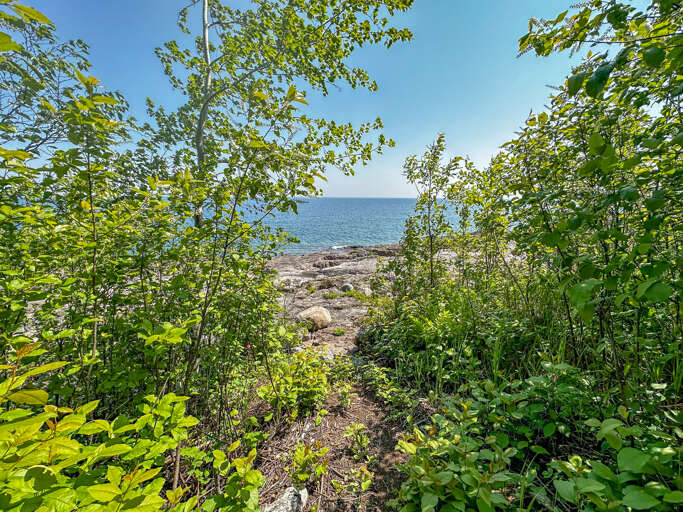 Pathway to the Shoreline
