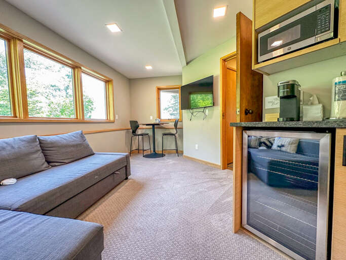 Lower Level Living Room in Treehouse