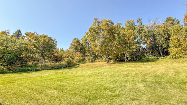 The spacious backyard is yours to enjoy during your stay.