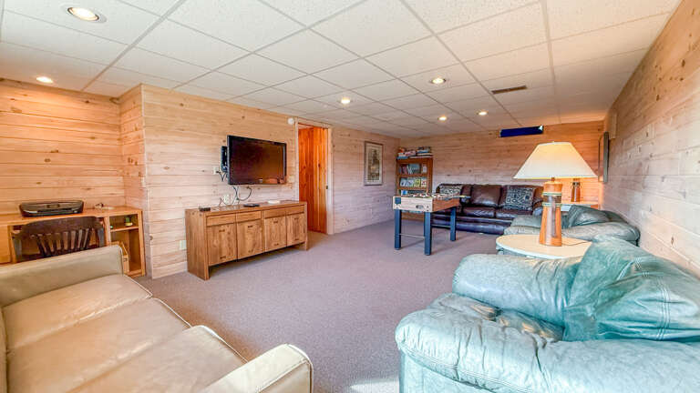 Lower Level Living Room