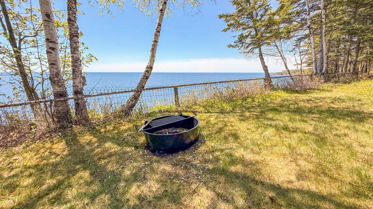 Coastal BBQ area with fire pit overlooking the sea, framed by birch trees and grassy lawnâperfect for outdoor grilling with ocean breezes.