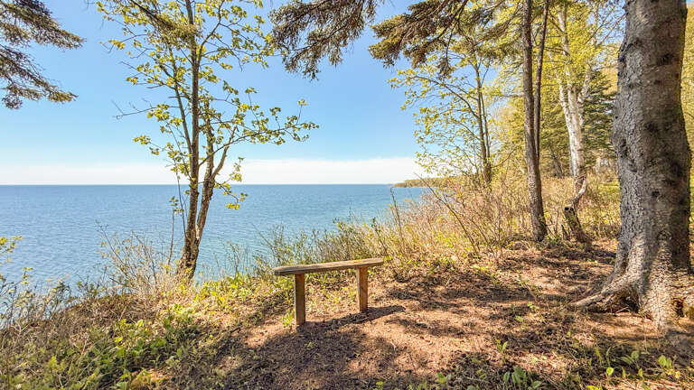 A peaceful lakeside bench nestled among the trees, where the spring foliage frames tranquil water viewsâa serene spot to relax and soak in the natural beauty surrounding the property.