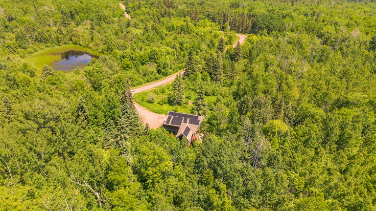 Secluded cabin nestled in lush forest with a winding driveway leading through dense greenery and a serene pond nearby—peaceful, private, and surrounded by nature's beauty.