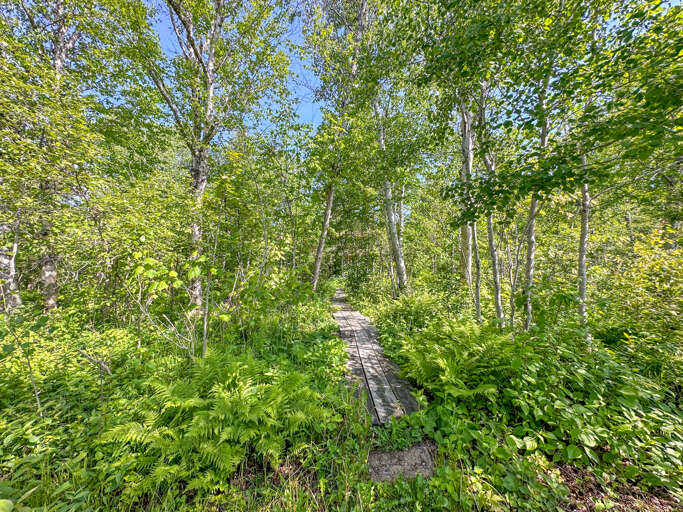 A path lead you down to your own section of Lake Superior.