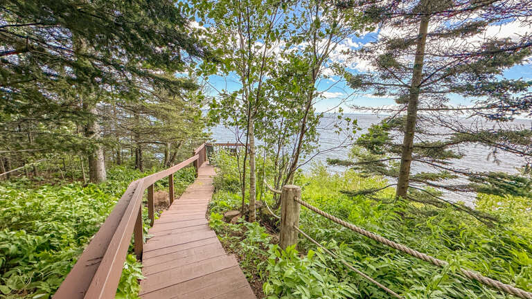 The stairs heading down to the viewing deck.