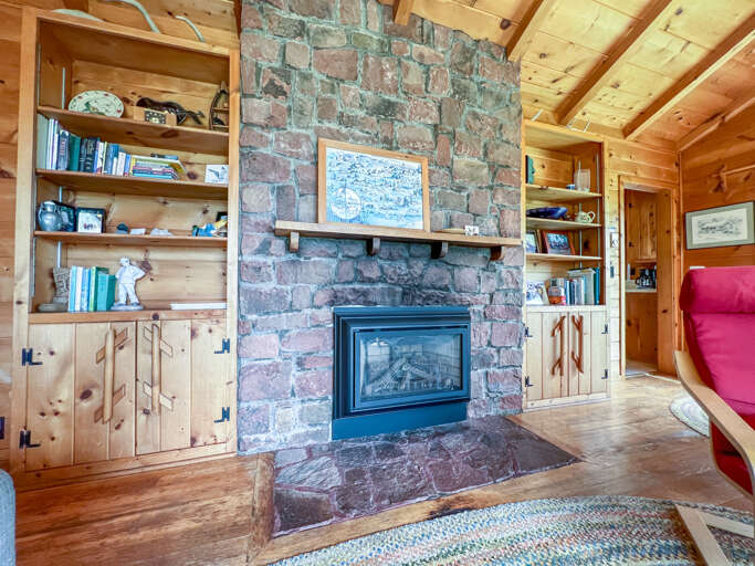 Fireplace in the living room with a small library of books.