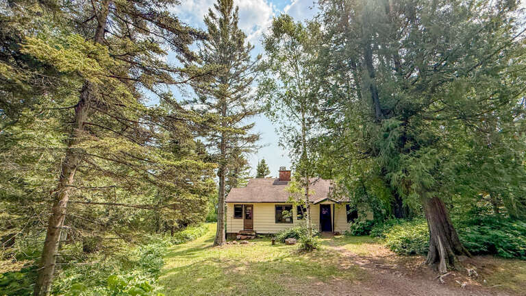 Charming cottage retreat nestled in a lush, tree-lined setting with mature evergreens and broad canopy trees creating a peaceful, private escape. A natural gravel pathway leads to your tranquil getaway.